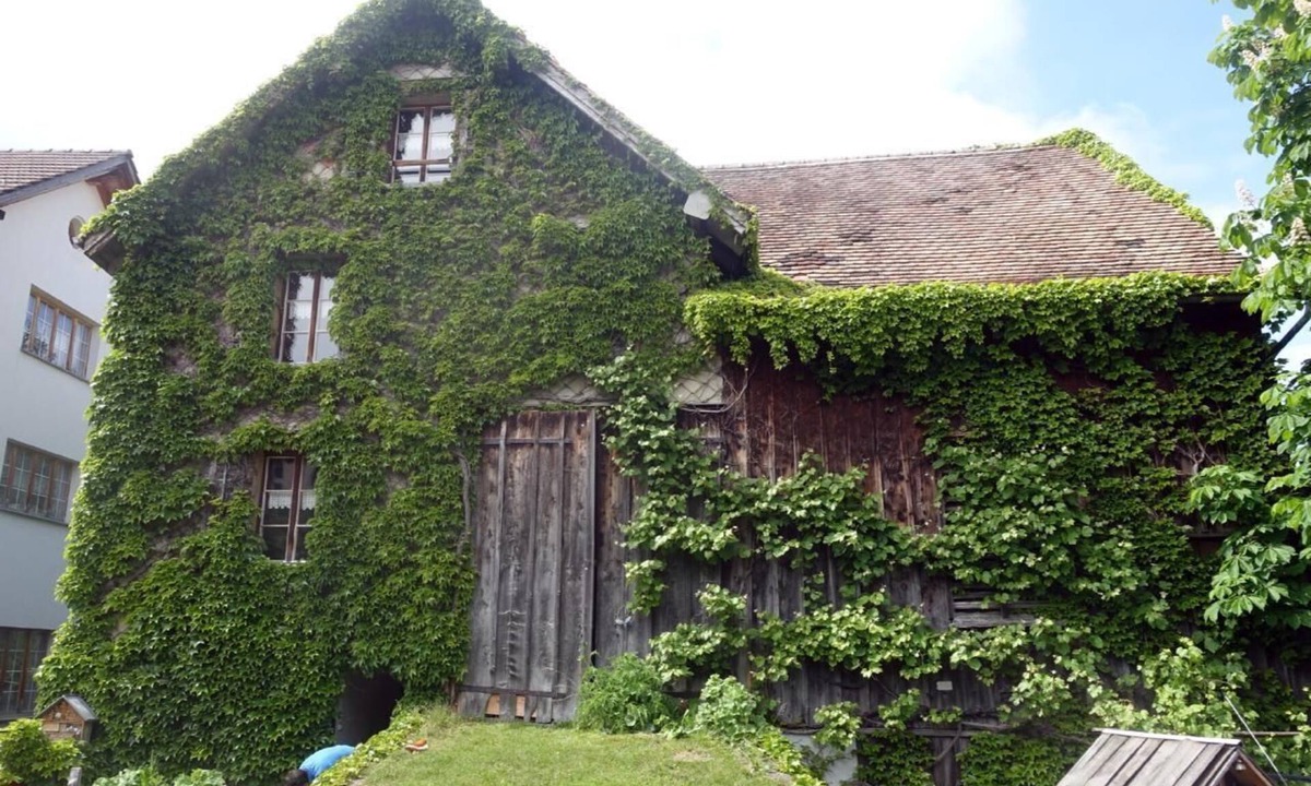 Oberschan Other | The leaning house of Oberschan