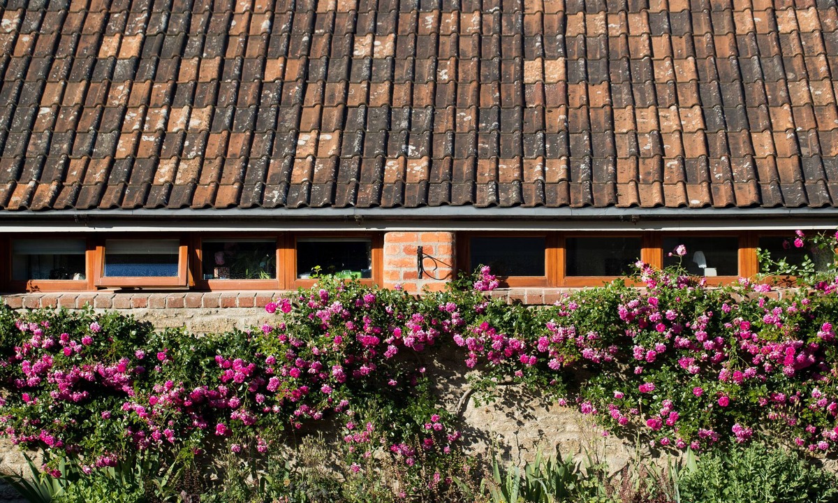 Nunney House | The Lighthouse