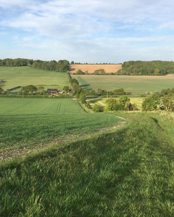 Dagnall Other | The little wilderness