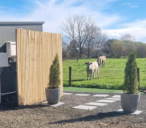 Waikato District House | The Little Willow