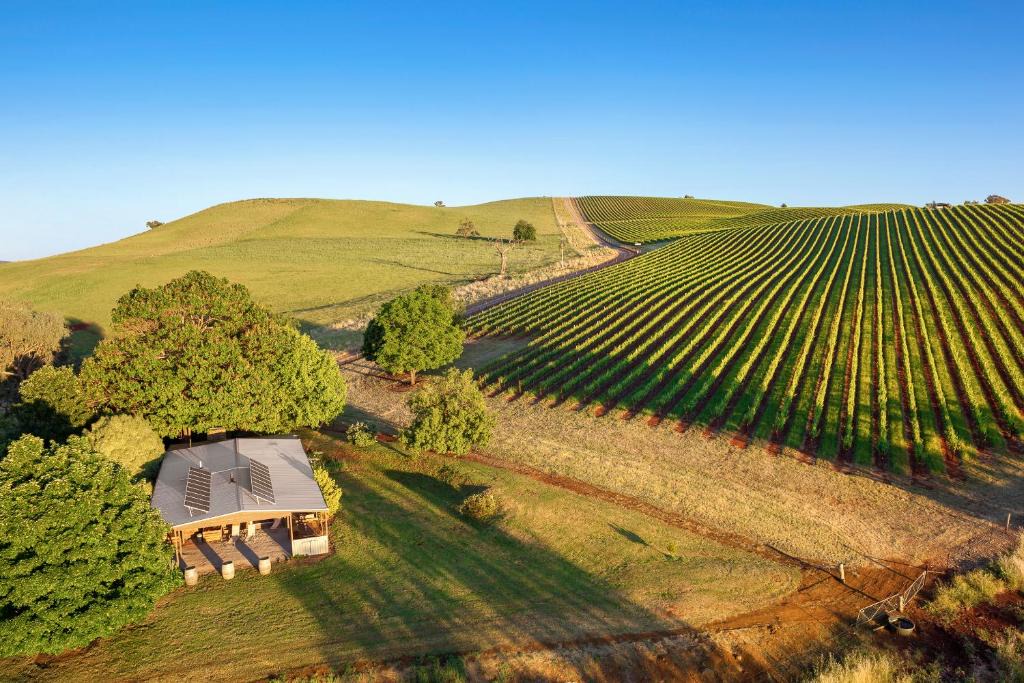 Myrrhee House | The Lodge by Mt Bellevue