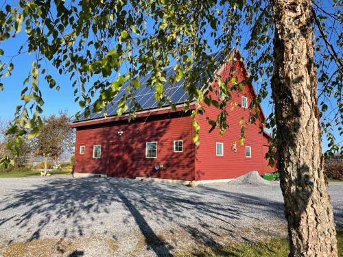 Bridport Apartment | The Loft