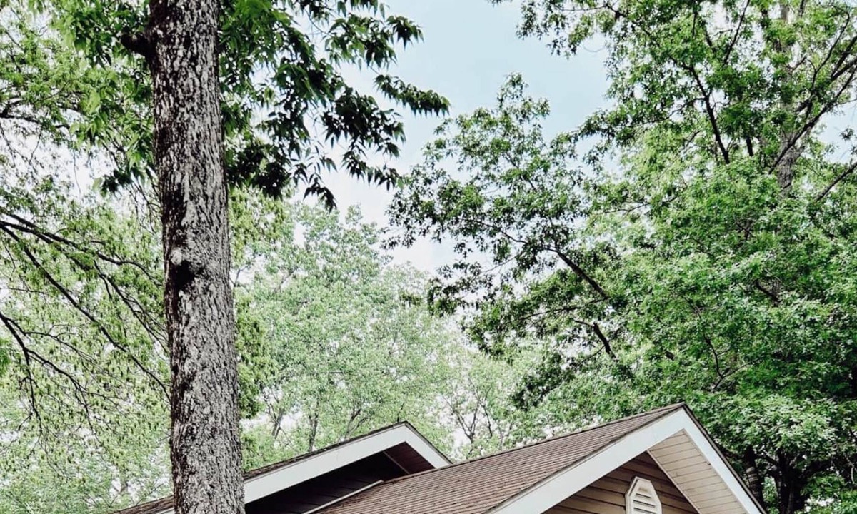 Piedmont Cabin | The Lone Writer's Nook