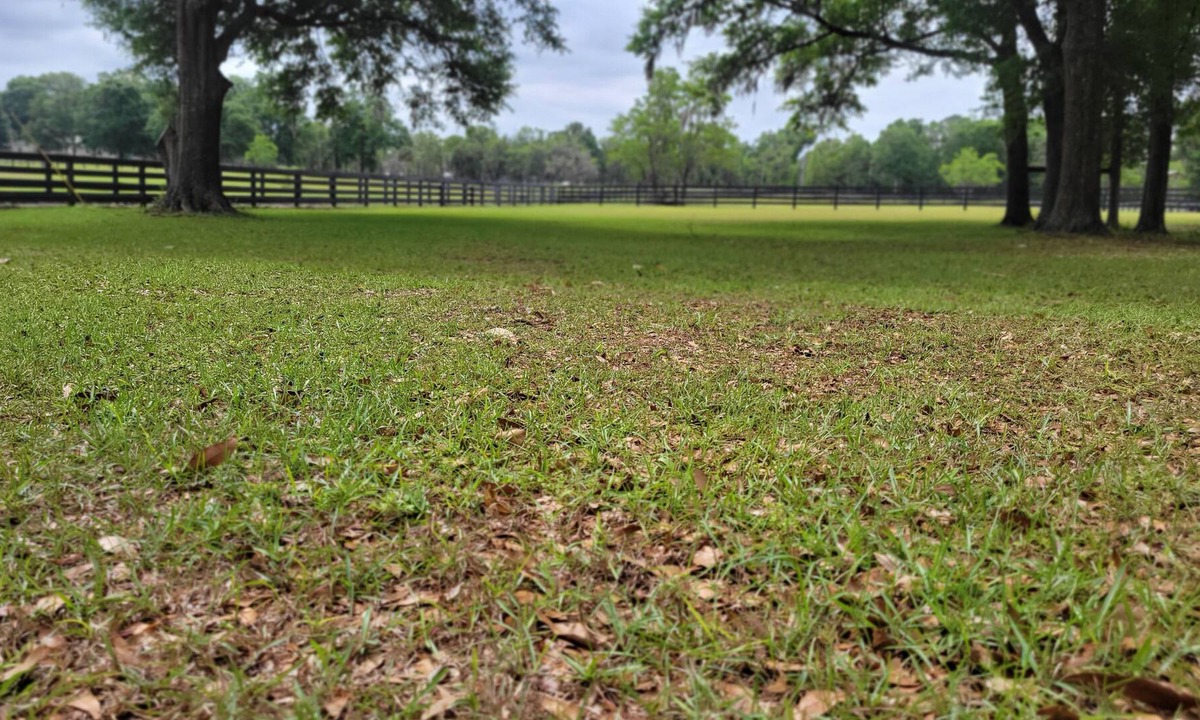 O Brien Cottage | The Lonestar Whitt Ranch
