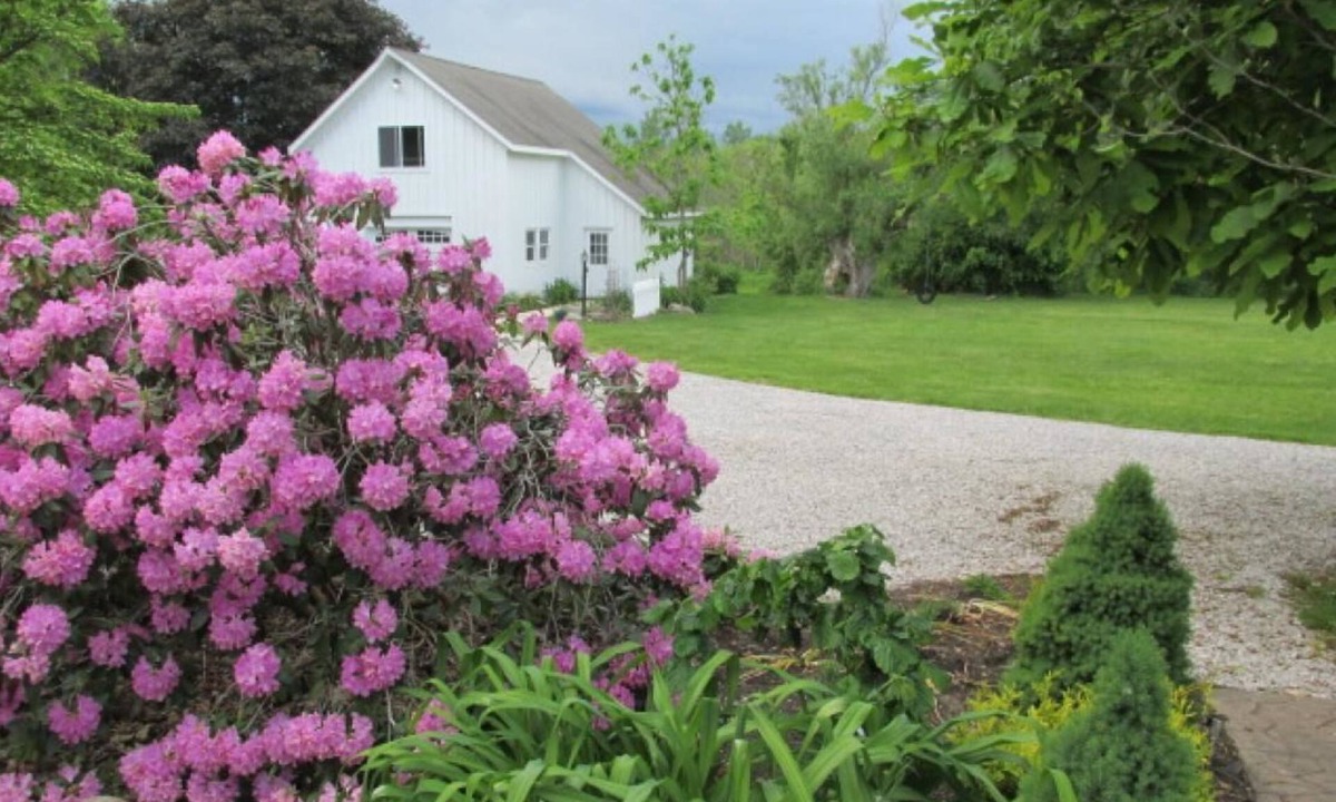 Madison Bed & Breakfast | The Lost Pearl