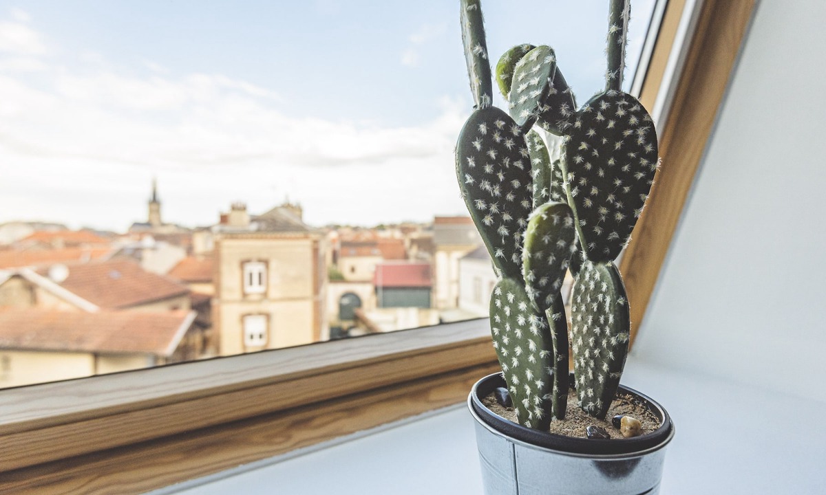 Epernay Apartment | "The Louis Pasteur 7" PREMIUM