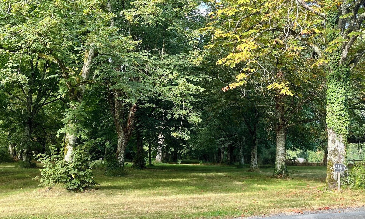 Sainte-Maure-de-Touraine House | The maples - sainte maure de Touraine