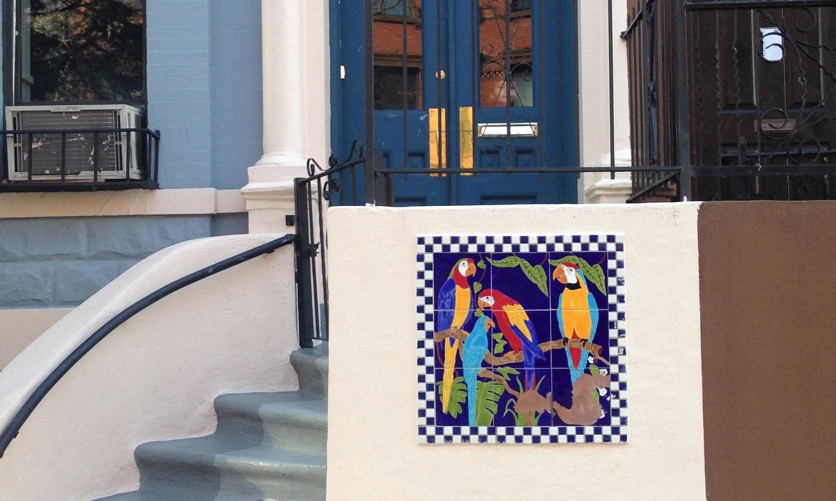 East Harlem House | The Macaw Guesthouse