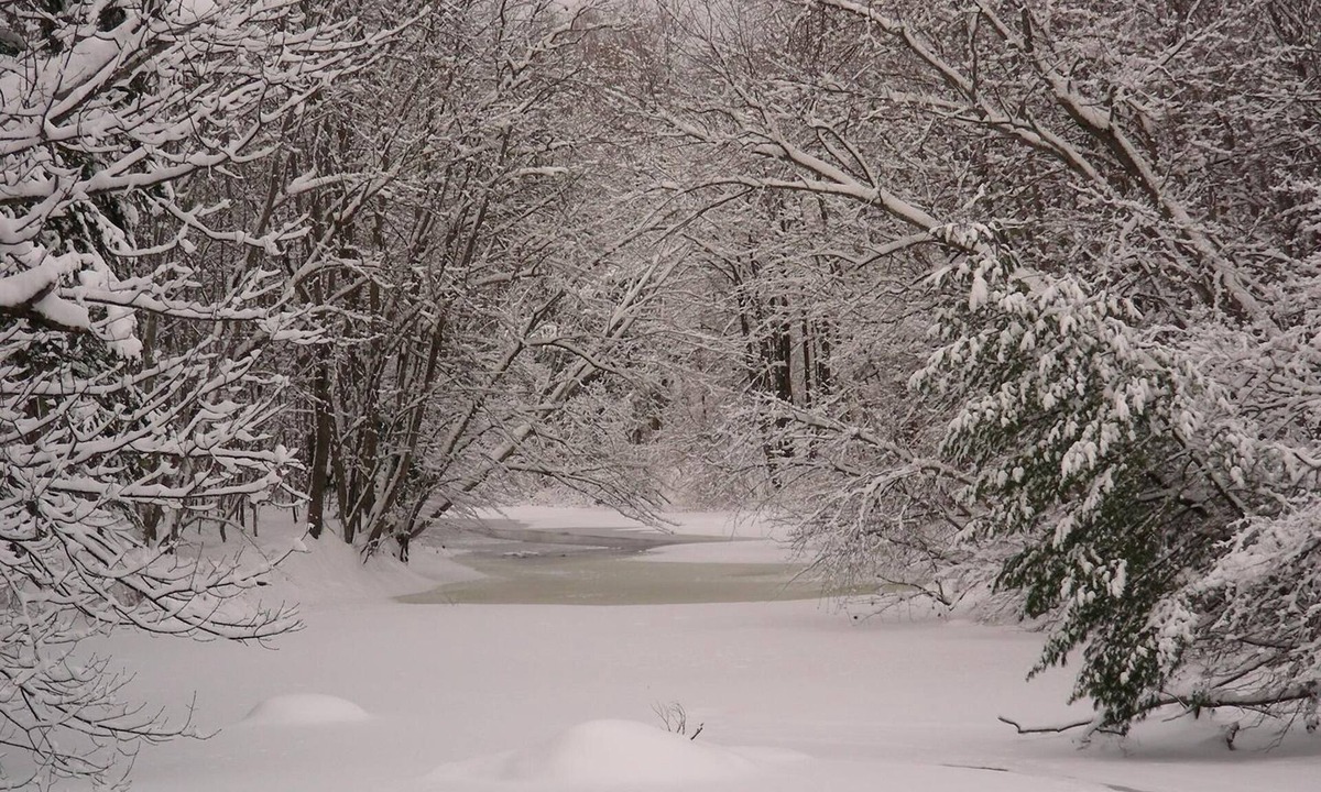 Warner Bed & Breakfast | The Maples at Warner