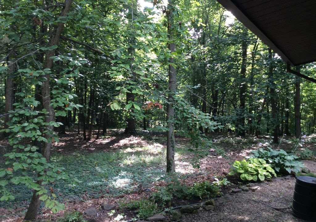 Perrysville Cabin | The Mohican Bunkhouse Cabin