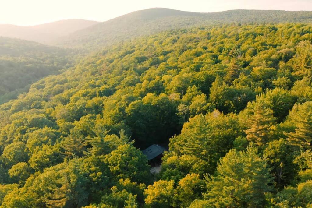 Florida Ski Chalet | The Mountain Cottage