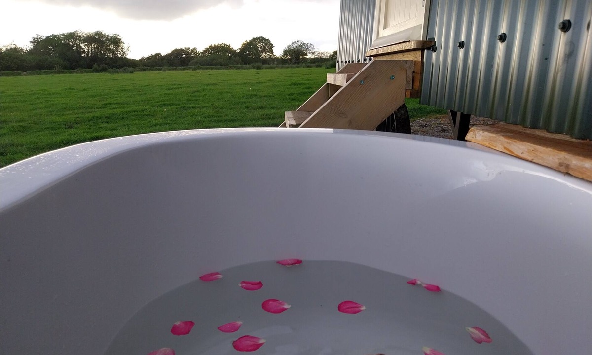 Pentrefelin Cabin | The Musterer's Hut, Outdoor Bath & Valley View