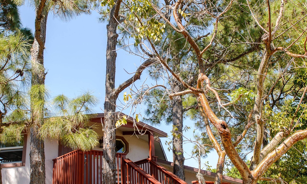 Naples Park House | The Naples Treehouse – Private Tropical Hideaway