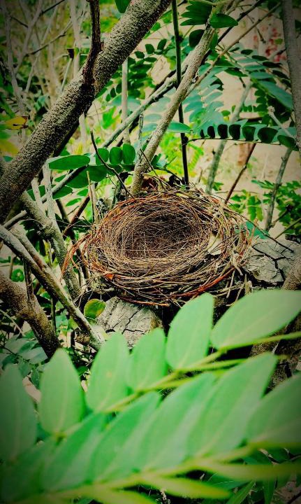 Mount Irvine House | The Nest Tiny Home Mt Irvine