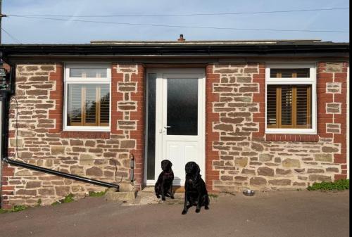 Lydney House | The Netherend Inn - Pet Friendly Haven