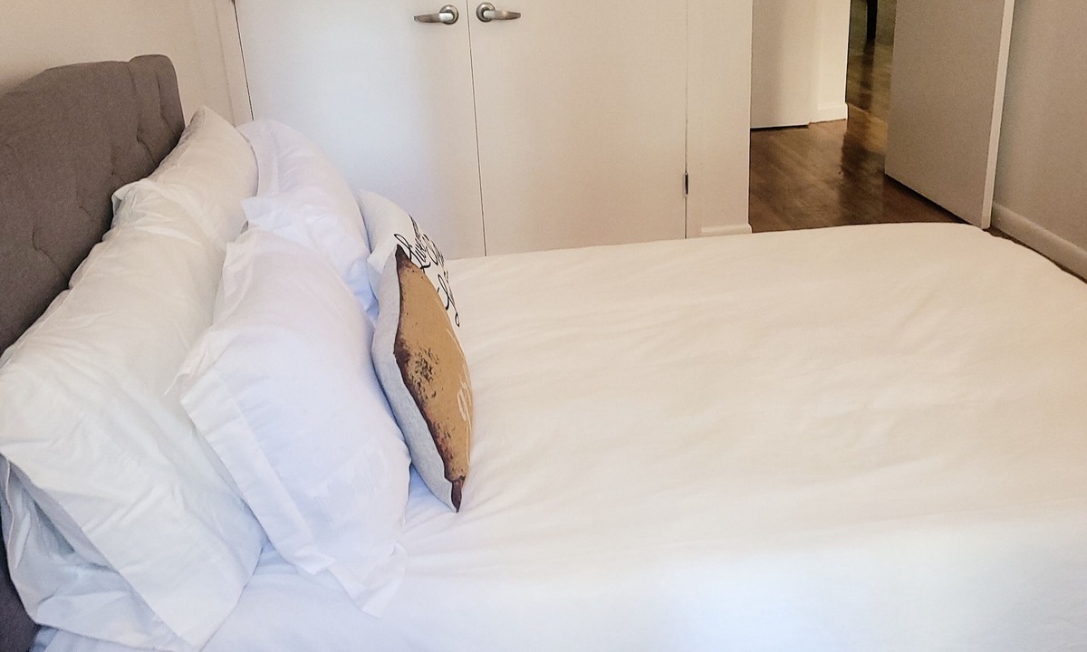 West Bronx Apartment | The Oasis 1 Bedroom