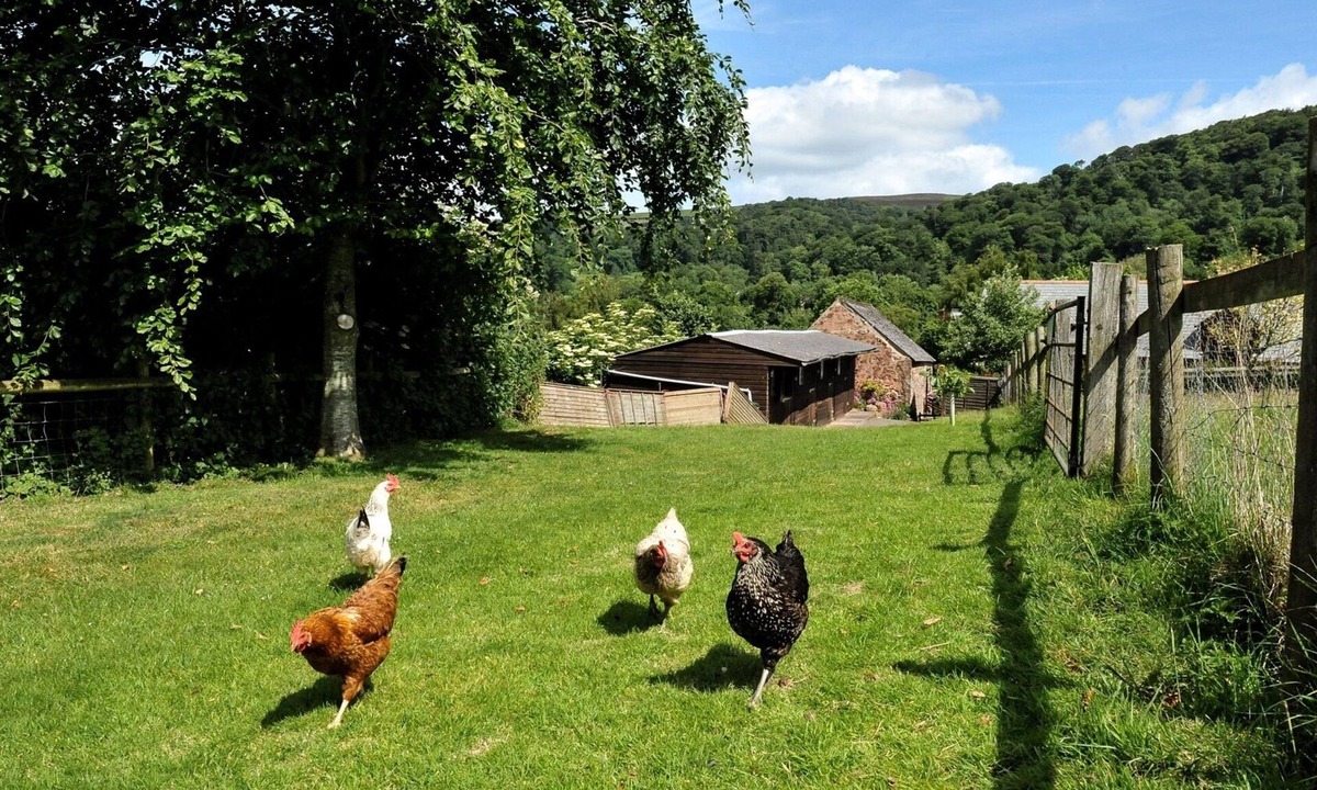 Crowcombe House | The Old Bakery (Sleeps 4. 2 Bedrooms)