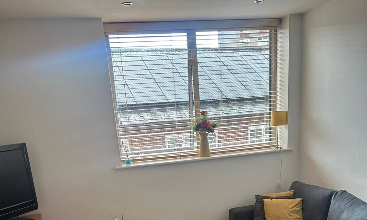 Newbury Apartment | The Old Library - Double and Pullout beds - Apartment 3