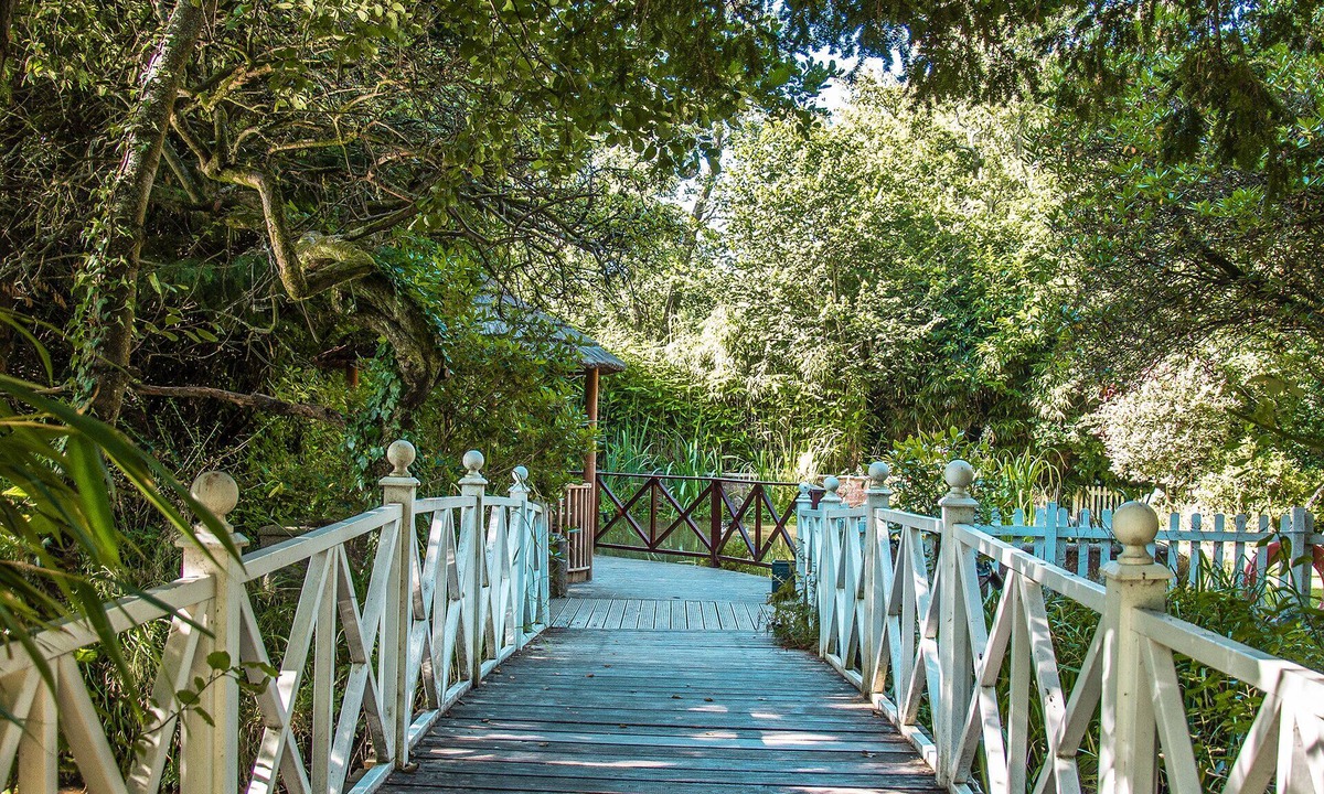 New Forest District Hotel | The Old Mill