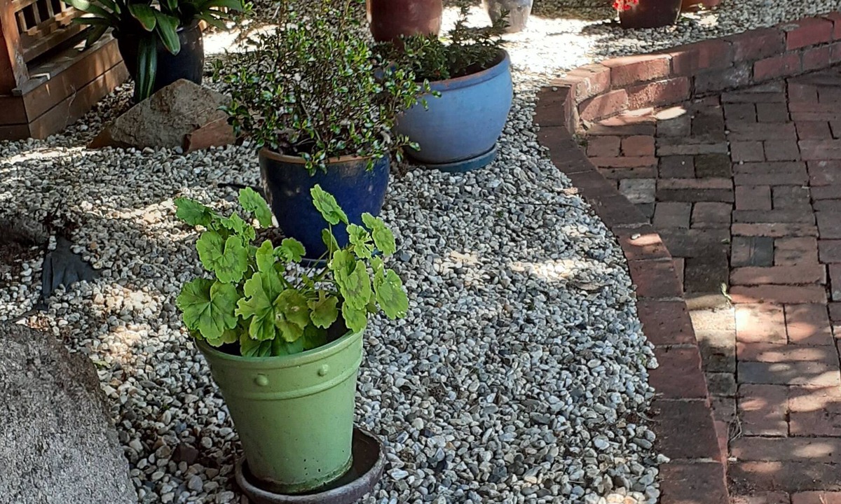 Myrtleford Apartment | The old Myrtleford Dairy