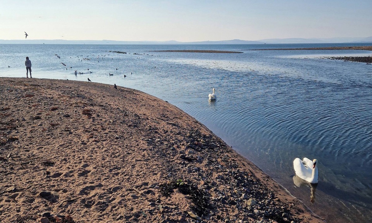 Largs Cottage | The Old Rectory