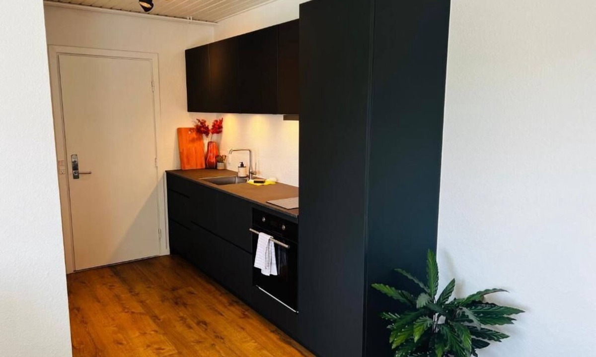 Silkeborg Apartment | The Old Silkeborg Hotel 1 TH