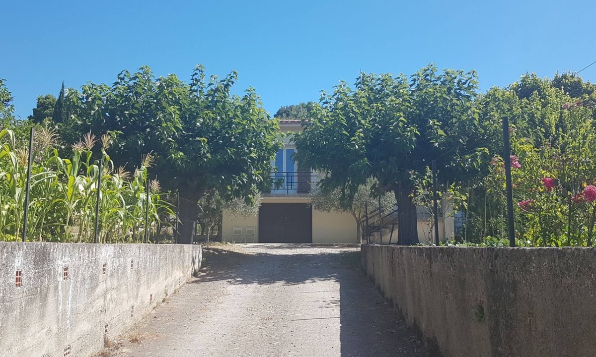 Saint-Hilaire House | The olive house