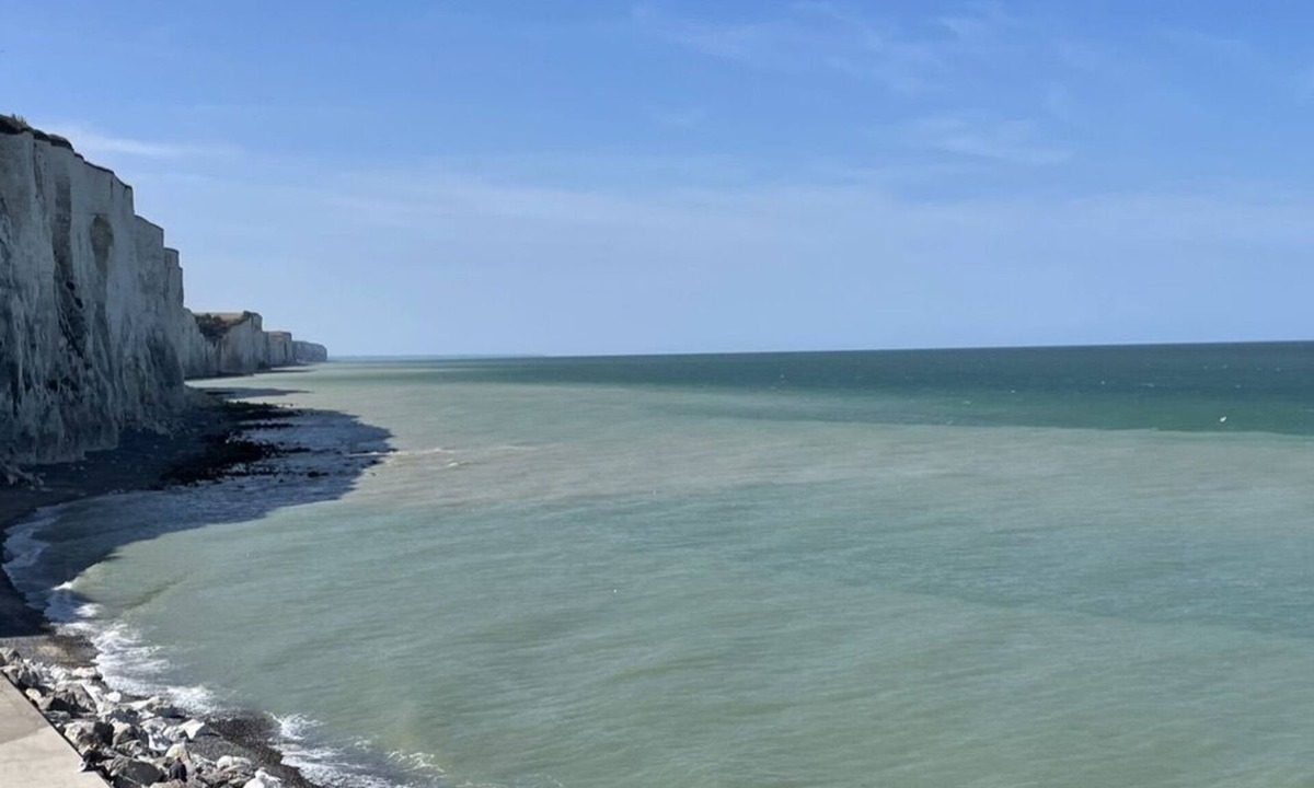 Tully House | The Opaline