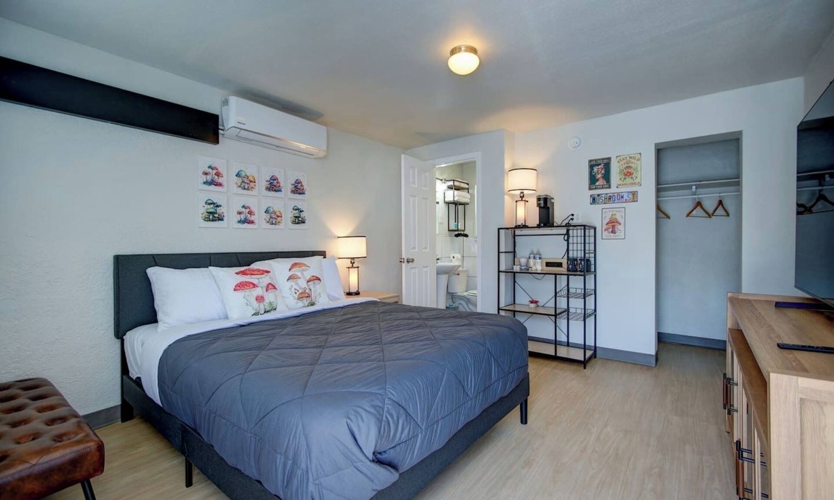 Hot Springs Apartment | The Organic at PWC