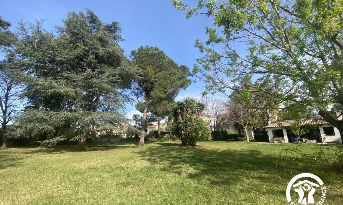 Latour-Bas-Elne House | The Parc de la Dame Cedar