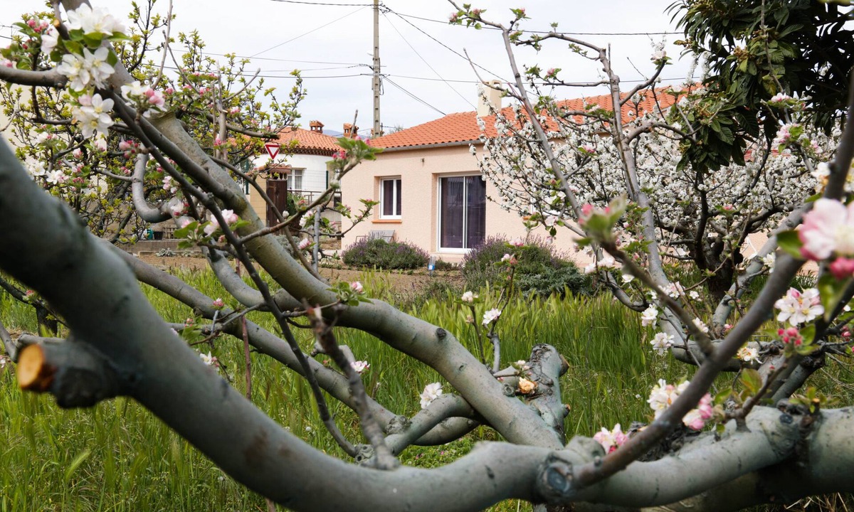 Prades House | The pavilion: vacations, hiking, spa treatments, festivals, heritage