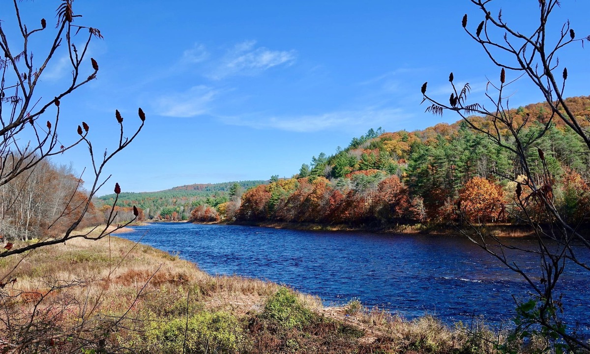 Town of Benson House | The Perfect Adirondack Getaway Waterfront Cabin