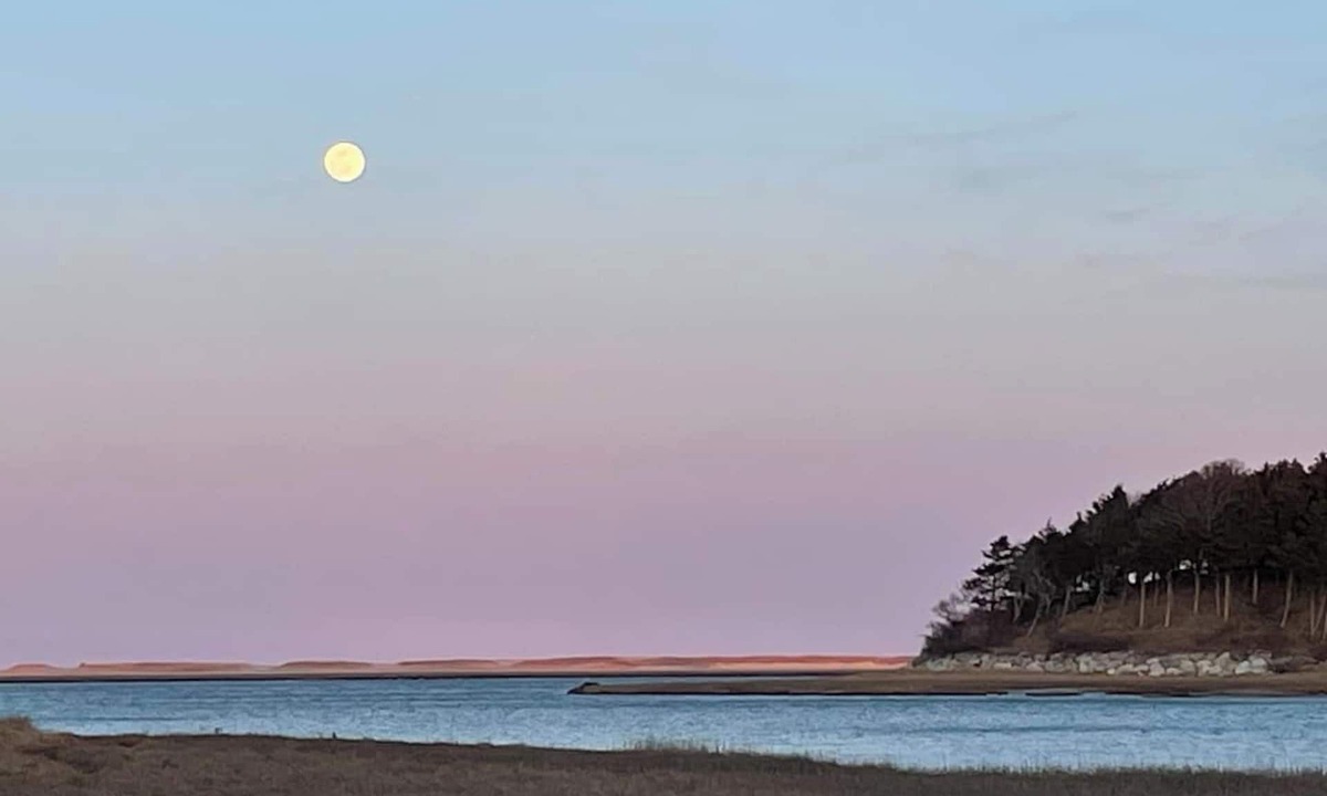 Eastham House | The Pet-Friendly Surf Shack Hideaway on the Cove
