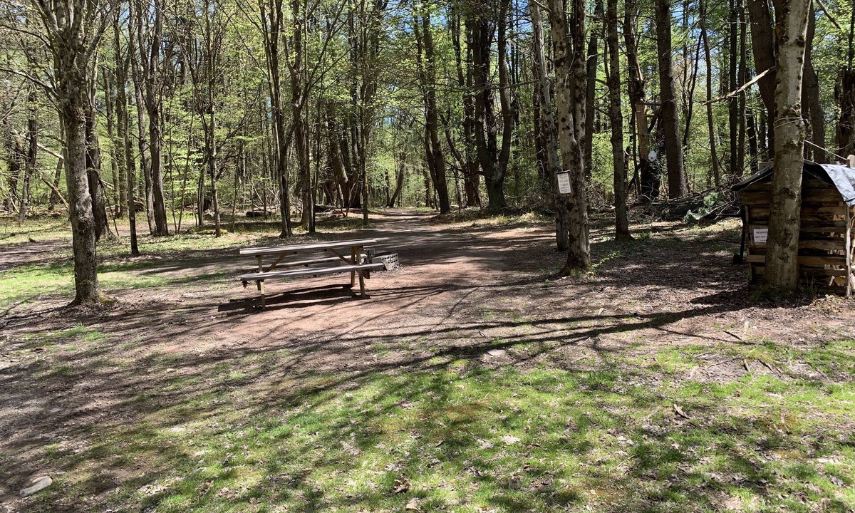 Unadilla RV Rental | The Pines Hill Top. Bring your own tent.