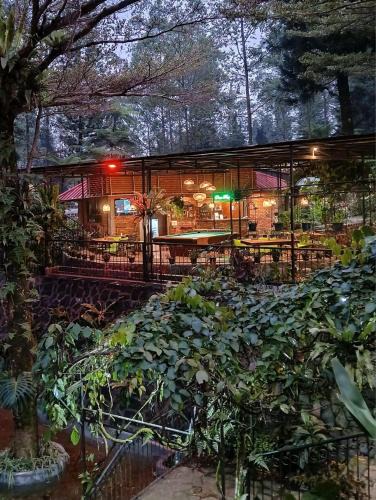 Ciloto Hotel | The Pinewood Lodge and Organic Farm