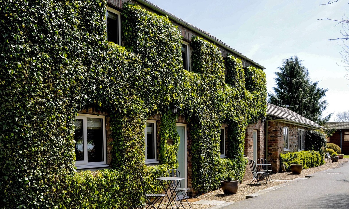 Thirsk Bed & Breakfast | The Poplars