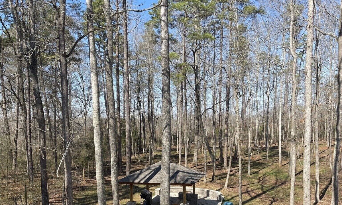 Converse Cabin | The PromiseLand 214B