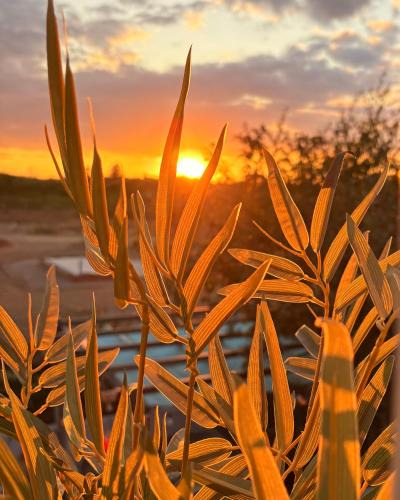 North Wheatley House | The Purrfect Creative Retreat