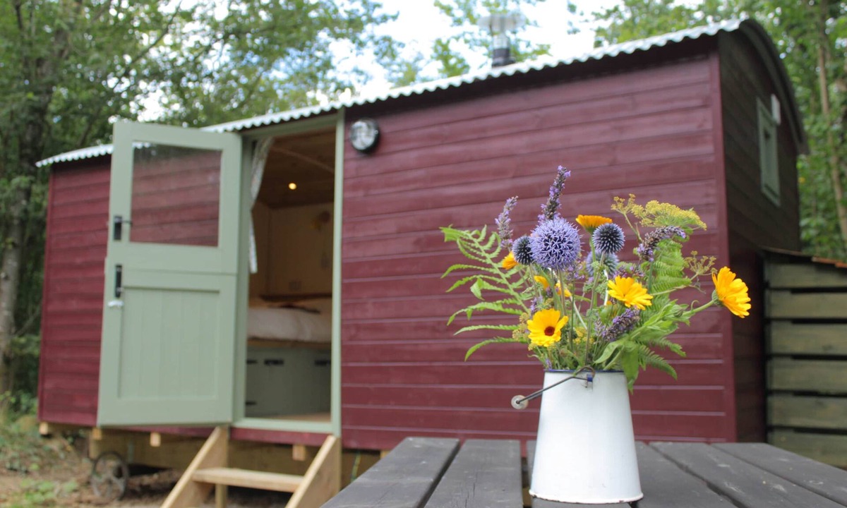 Acton Scott Cabin | The Red Kite Shepherd's Hut