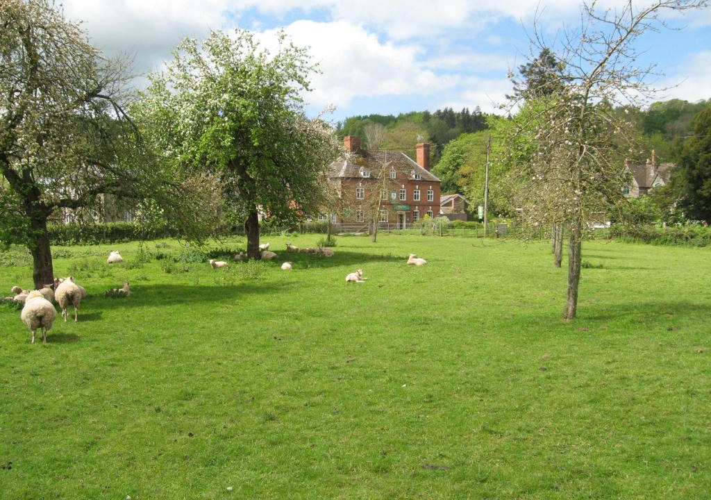 Bredwardine Hotel | The Red Lion Hotel