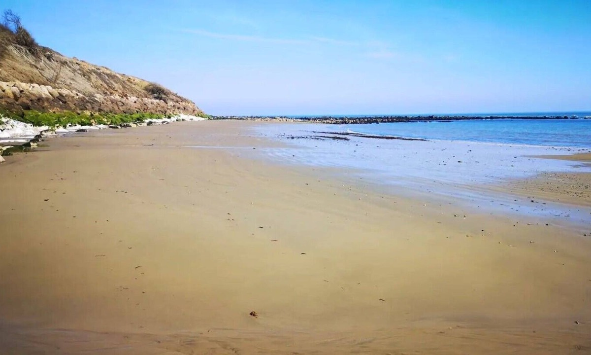 Niton Cabin | The Retreat