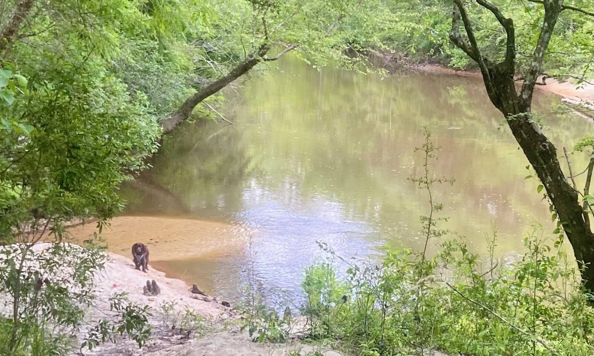 Red Level House | The Riverside Retreat