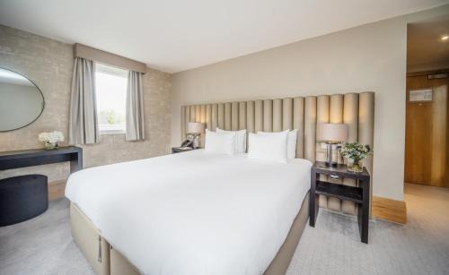 Newington Hotel | The Scholar