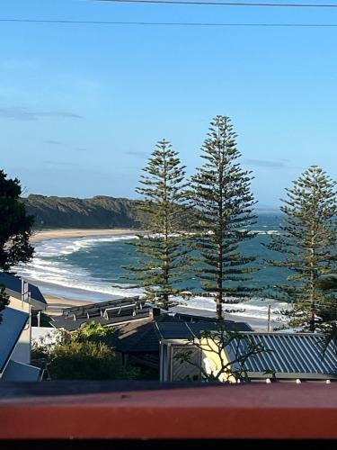 Black Head House | The Shack at Black Head