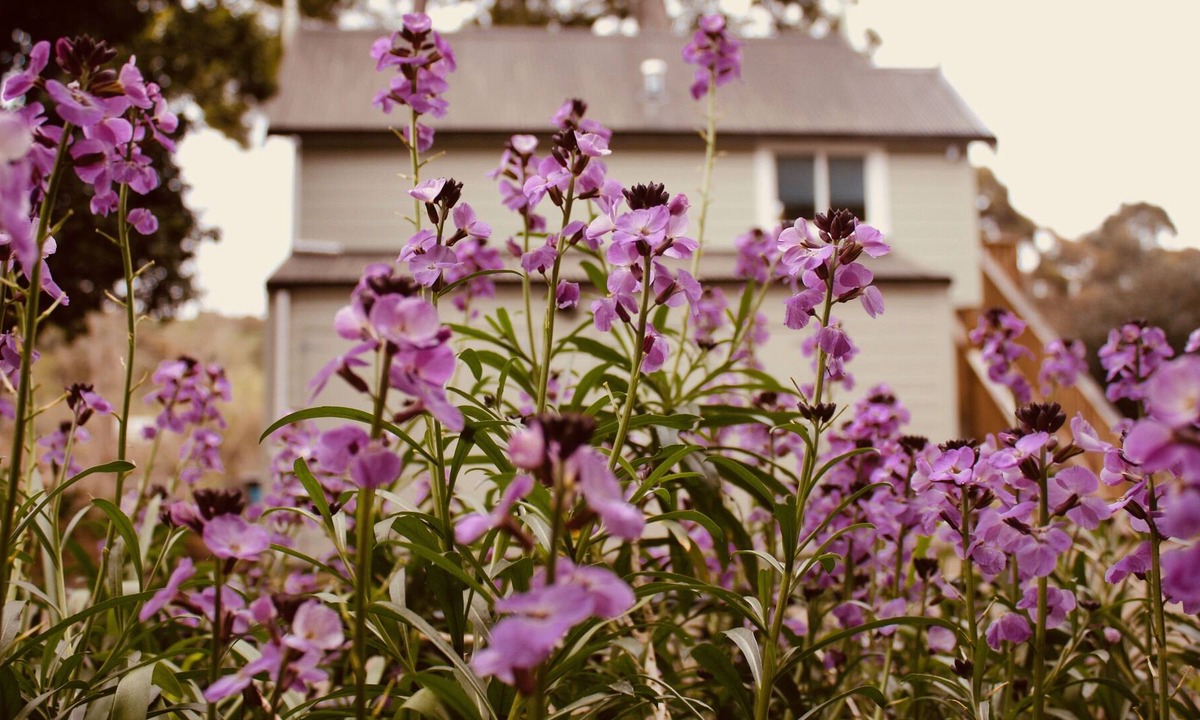 Whanganui Apartment | The Signal Box-Riverside Accommodation