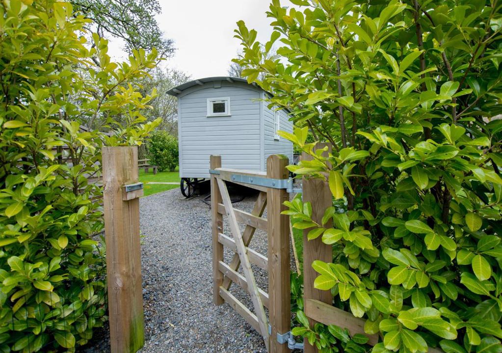 Carlisle House | The Snug