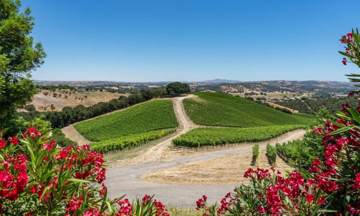 Paso Robles House | The Source Home @ Copia | vineyard, bbq, jacuzzi
