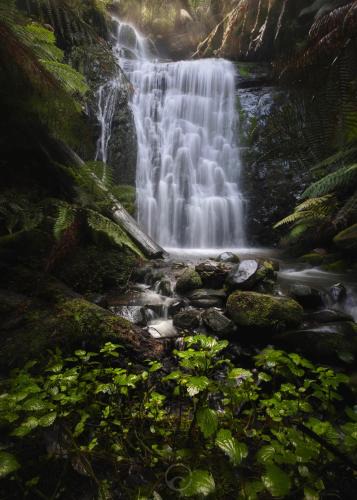 Tanybryn Cabin | The Source, Otways