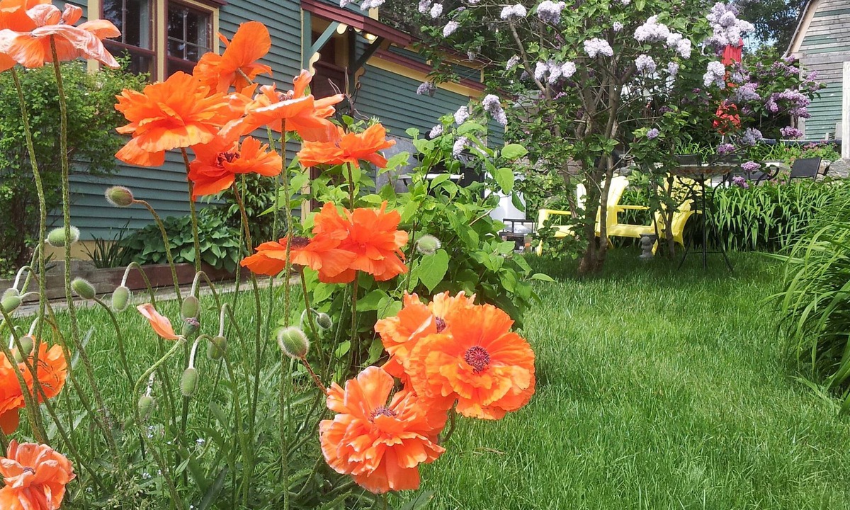 Spaniard's Bay Bed & Breakfast | The Spaniards “Room” Heritage Home