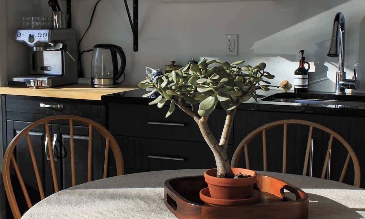 Calabogie Apartment | The Summit Suite at Calabogie Peaks